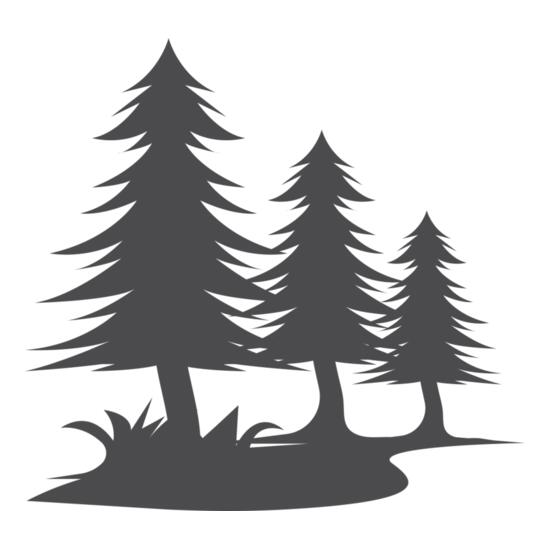 5429 Trees Thumbnail