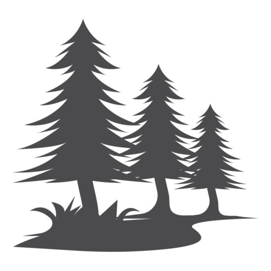 5429 Trees Thumbnail