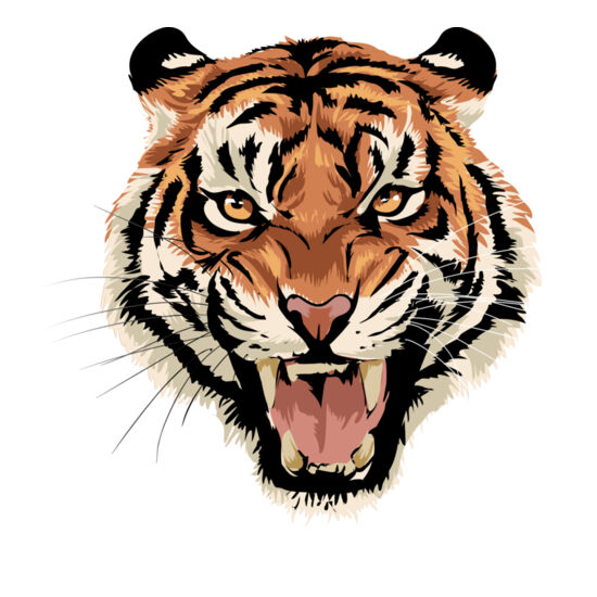 5843 Tiger Thumbnail