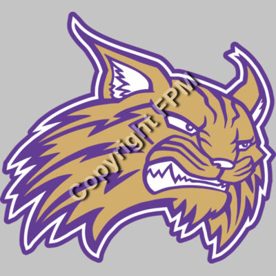 Wildcats / Bobcats Thumbnail